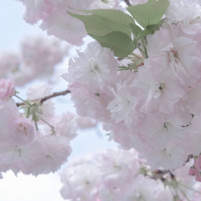 Furry数位板绘画入门技巧FurryQQ群